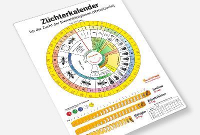 Züchterkalender Bienenköniginnen