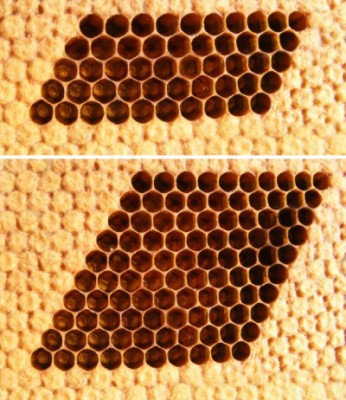 Pin test 5,1mm - Dienstprogramm f&uuml;r pin-test Nadelstempel